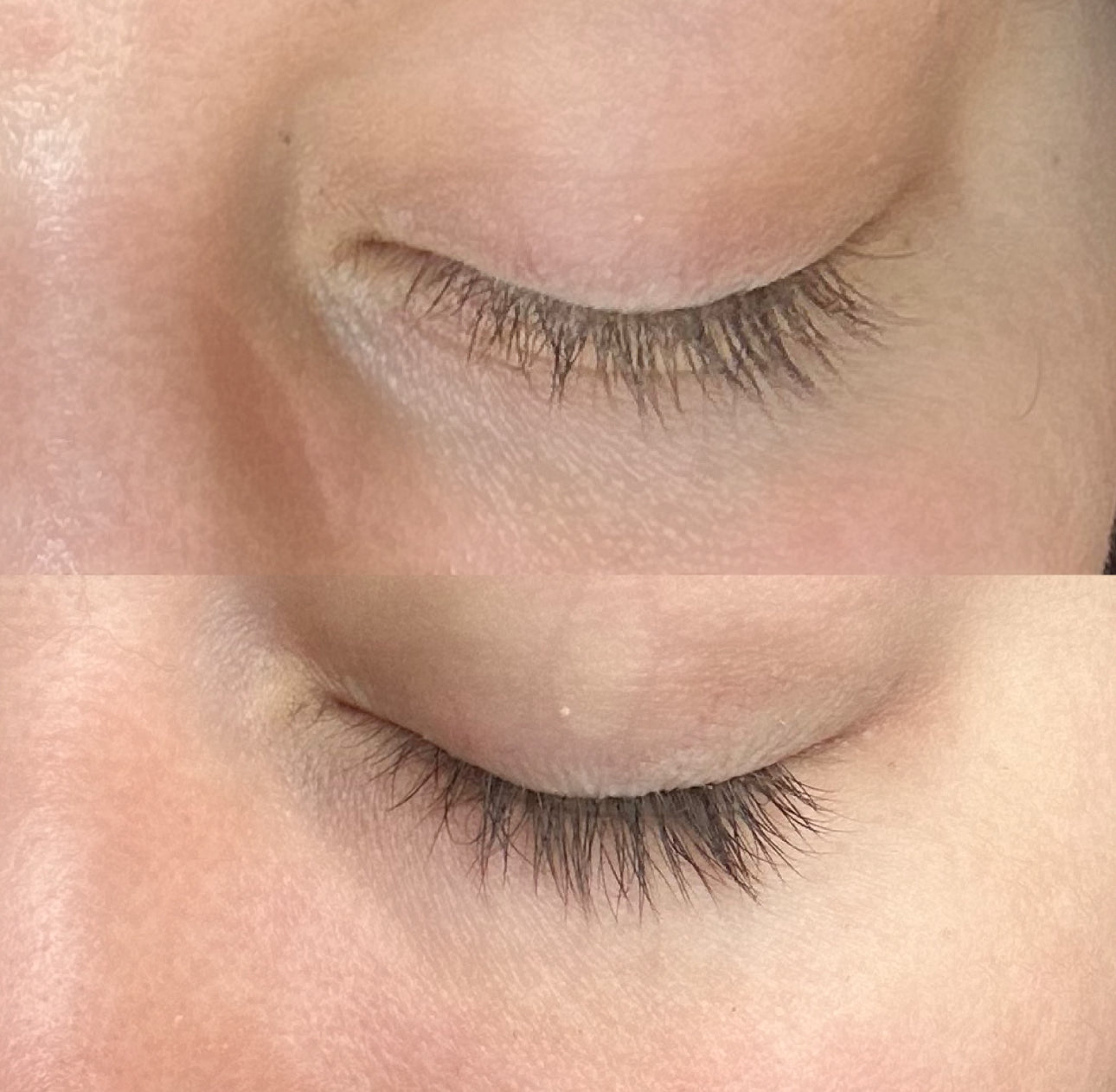 Bellame lovestruck lash & brow serum