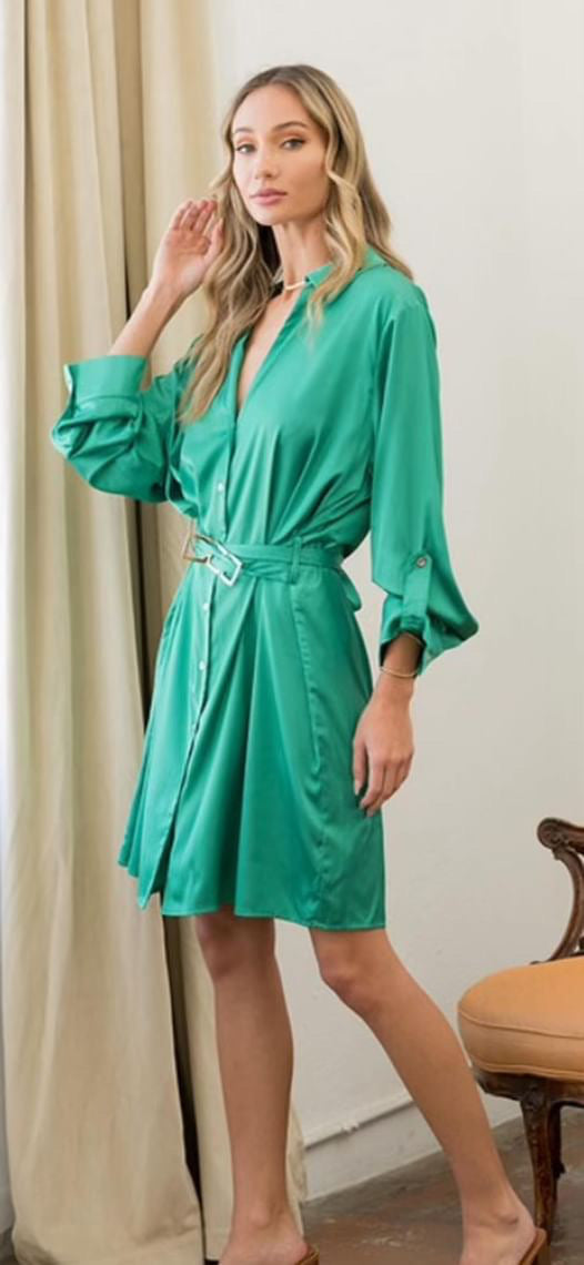 Elegant Satin Button Down Dress