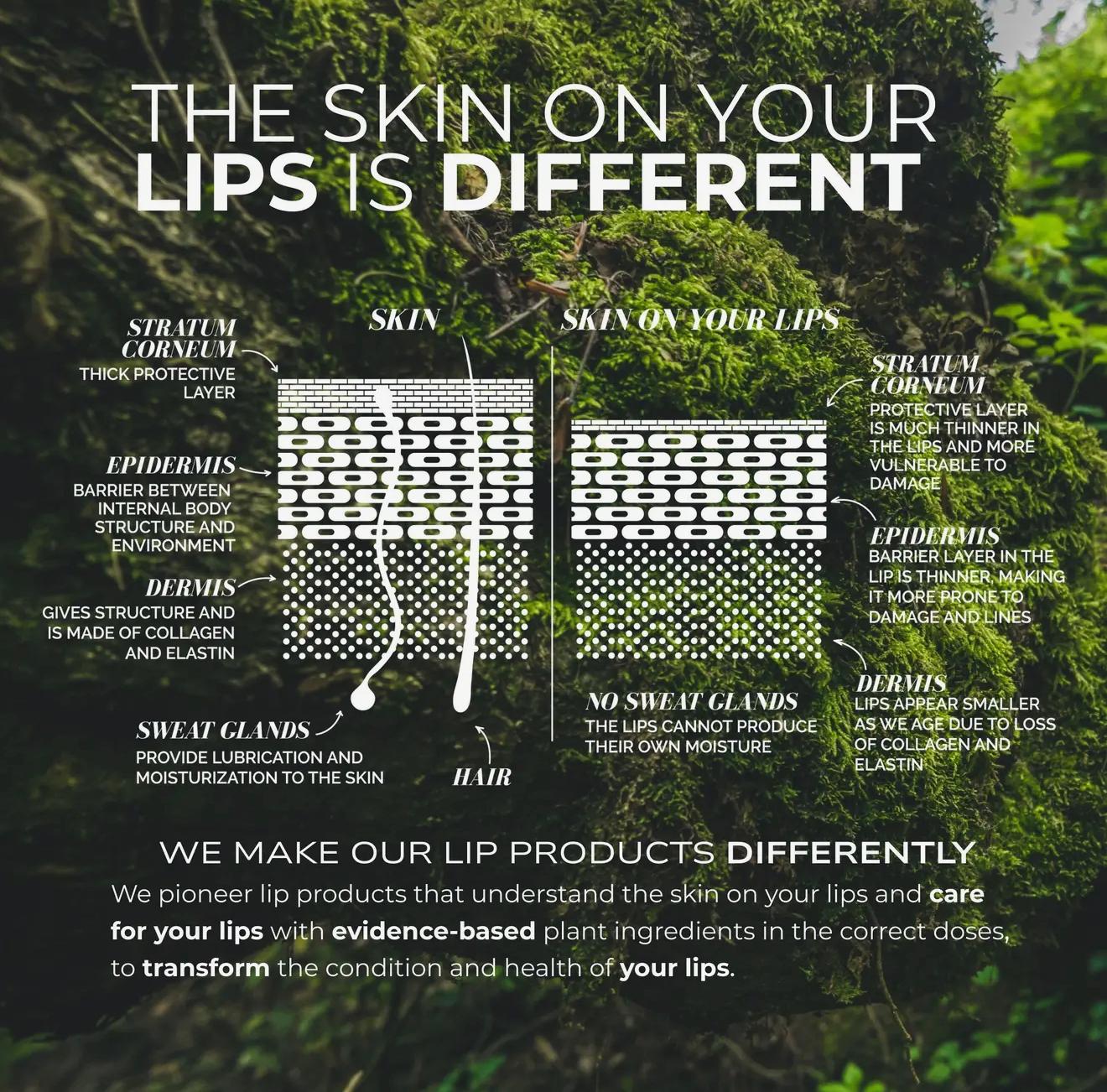 Ceramide Lip Oils