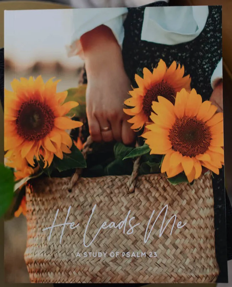 He Leads Me Bible Study Devotional